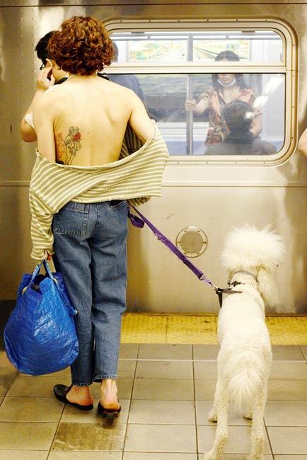 Person oben ohne und mit Hund